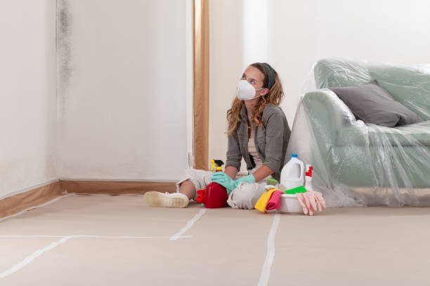 Reliable Mold Cleanup contractor in East Northport, NY by WQB Mold Removal